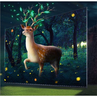 海佳彩亮/CAILIANG P2.0 LED顯示屏 100cm*100cm 2.5m視距 室內(nèi)全彩顯示屏